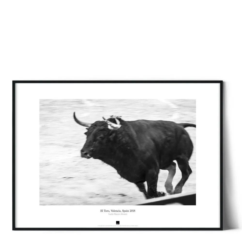 Постер "El Toro, Valencia" - #13