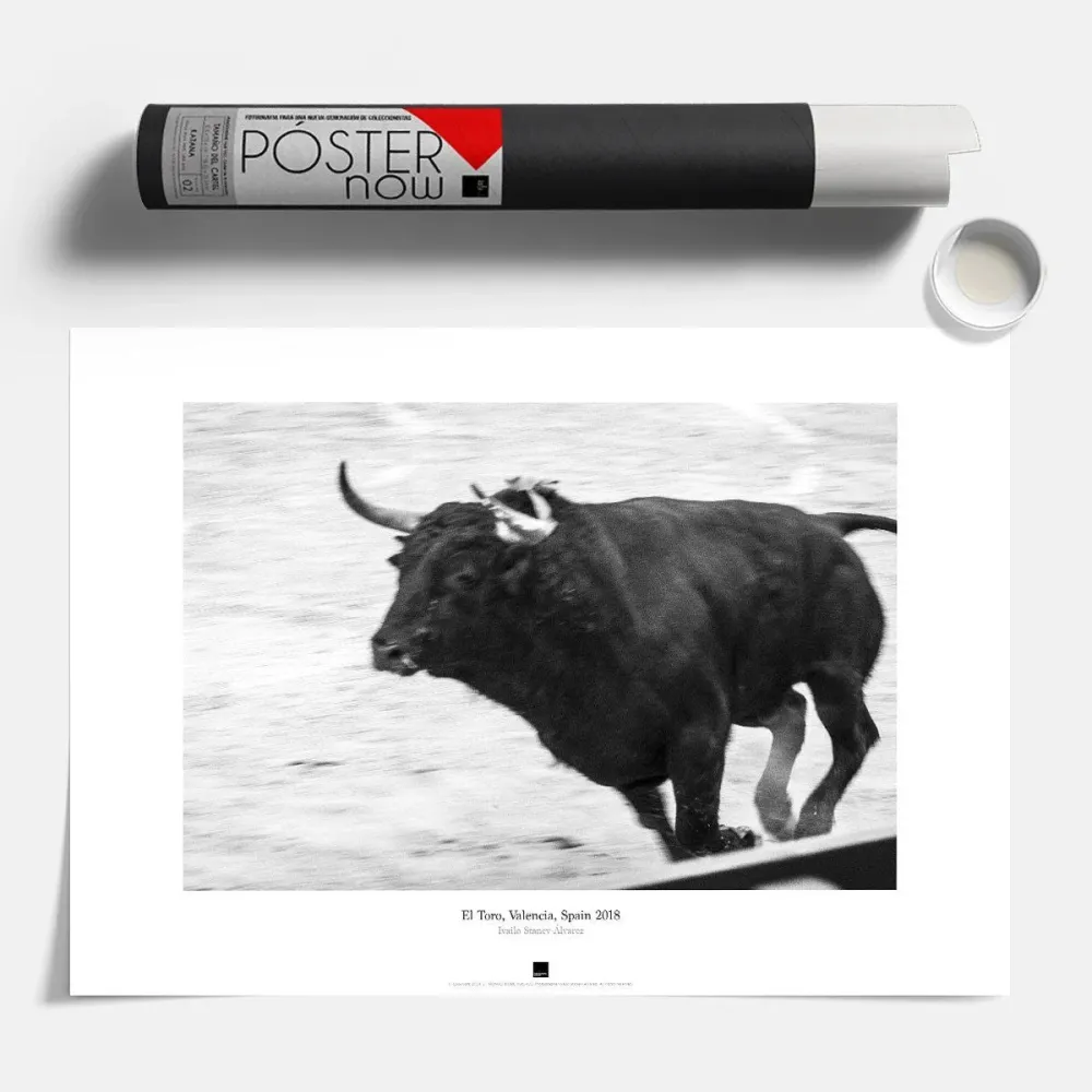 Постер "El Toro, Valencia" - #13