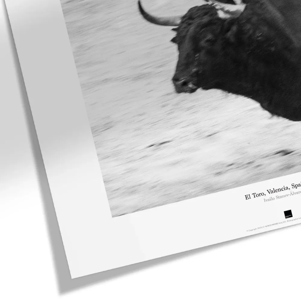 Постер "El Toro, Valencia" - #13