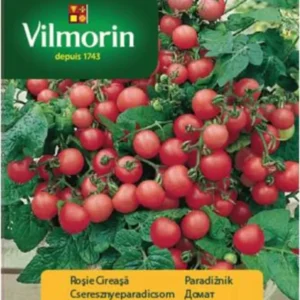 СЕМЕНА ЧЕРИ ДОМАТ VILMA ВИЛМОРИН